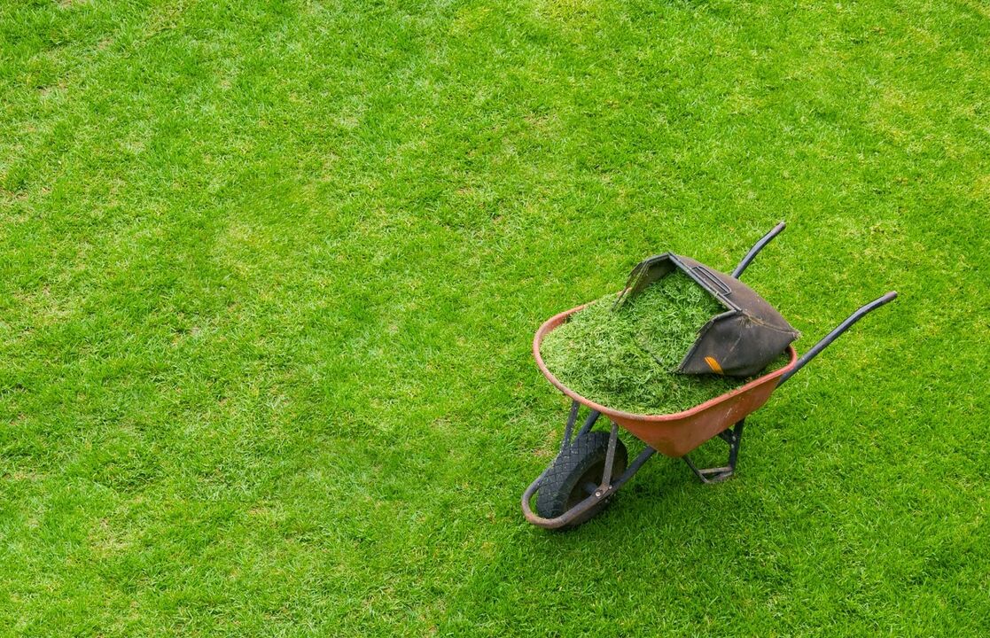 Saç kesimi penisinizin daha uzun görünmesine yardımcı olacaktır